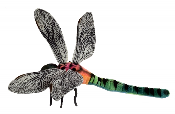 Libelle